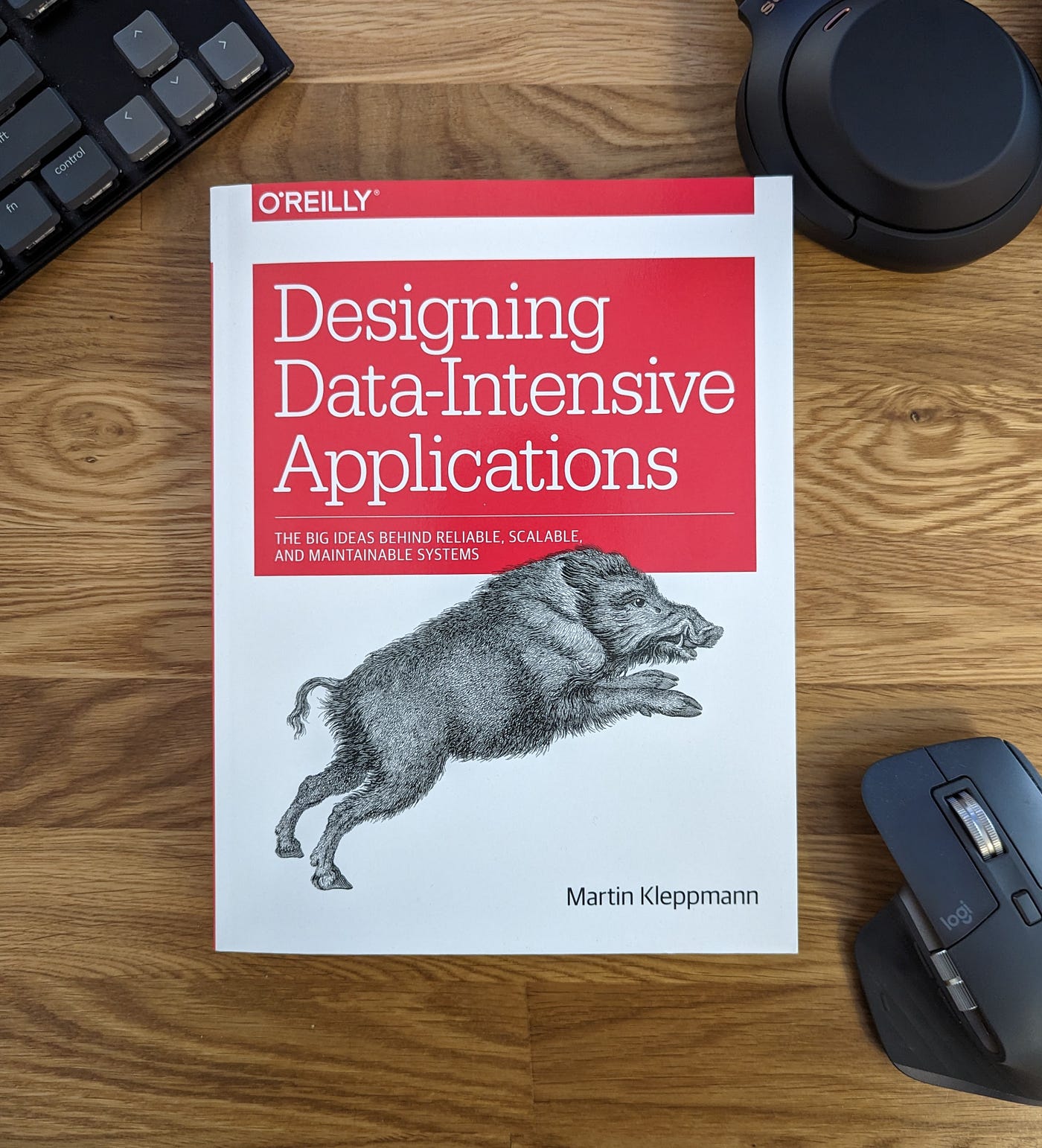 Designing Data-Intensive Applications (Photo Credit: Google)