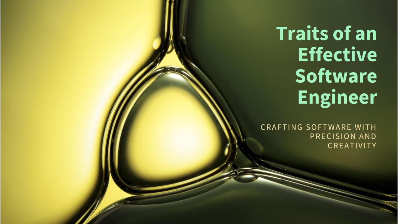 Effective Software Engineer (Photo Credit: Linkedin Design)